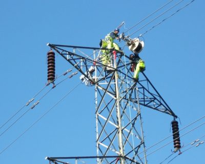 Provisio incongruous feline nolo